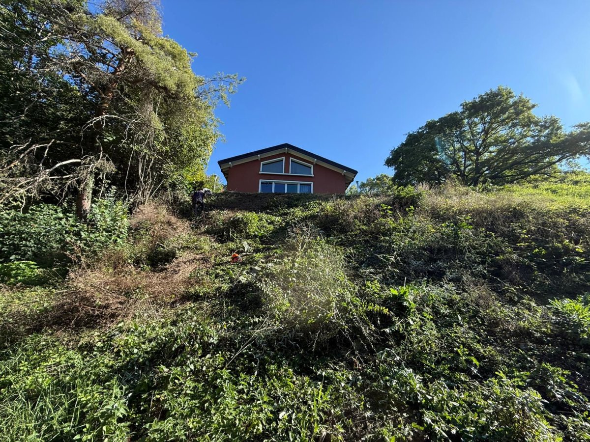 Terrain avant intervention