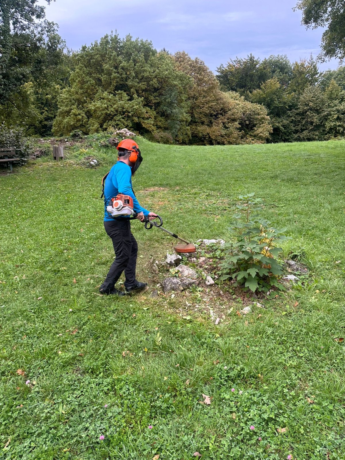 Entretien extérieur professionnel par EcoNova Nettoyage